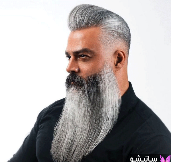 عکس انواع مدل ریش کله قندی