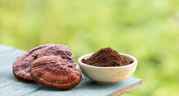 عکس قارچ ریشی