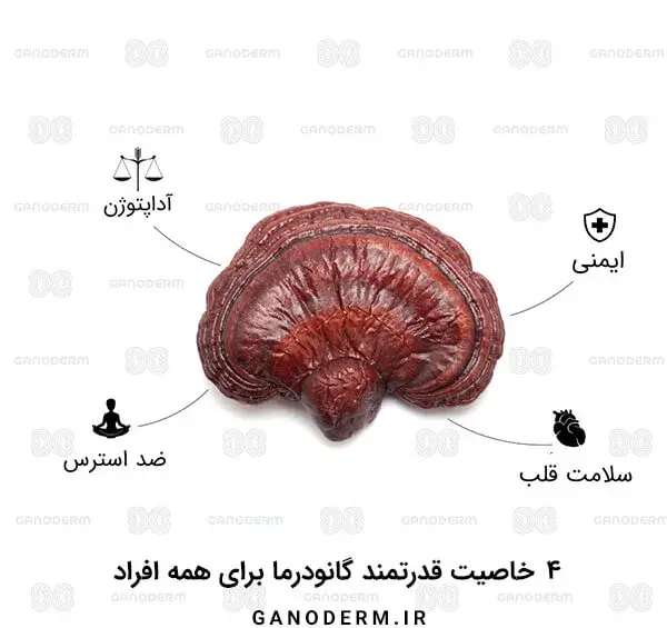 عکس قارچ ریشی