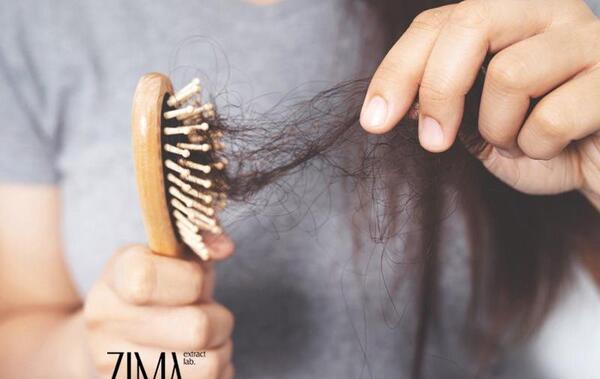 عکس ریزش مو از ریشه