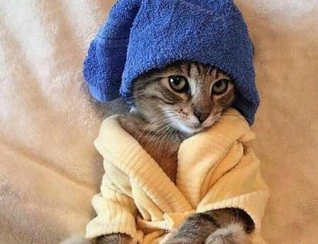 عکس های ریشخندی دخترانه