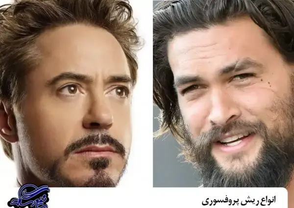 عکس انواع مدل ریش پروفسوری