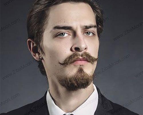 عکس انواع مدل ریش پروفسوری