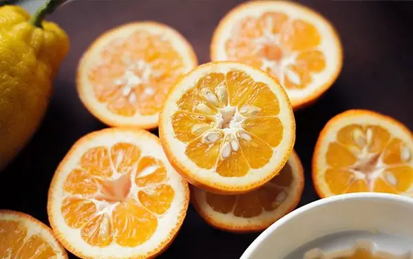عکس ریشه درخت نارنج