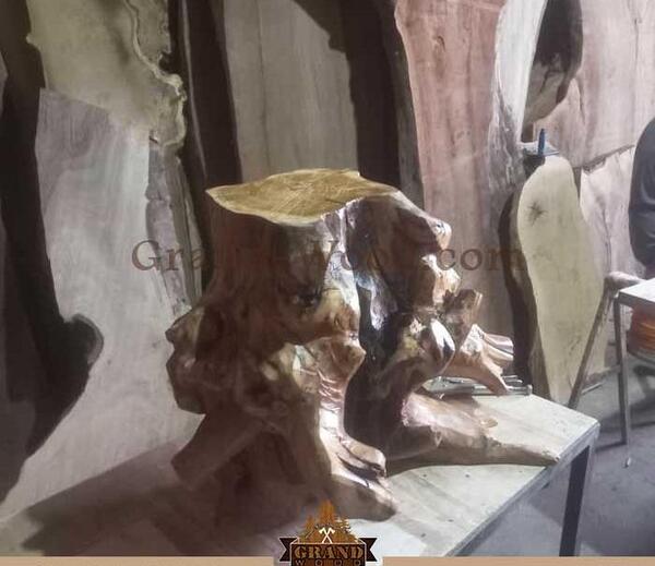 عکس ریشه درخت شاه توت