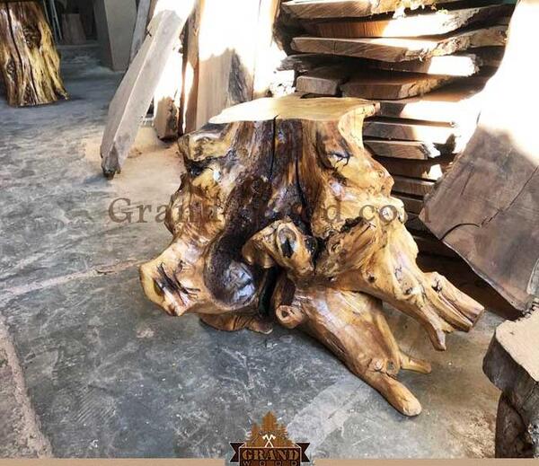 عکس ریشه درخت شاه توت