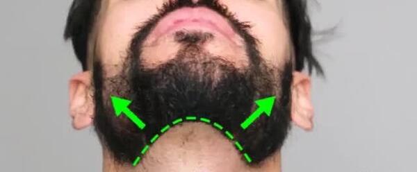 عکس مدل ریش آنکارد