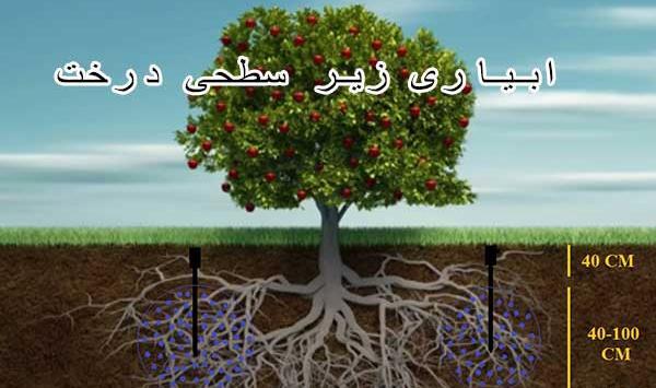 عکس ریشه درخت انجیر