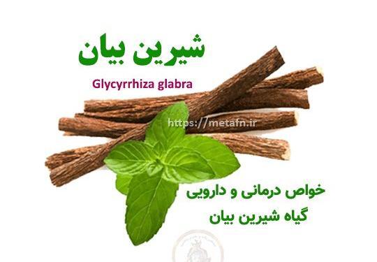 عکس از ریشه شیرین بیان