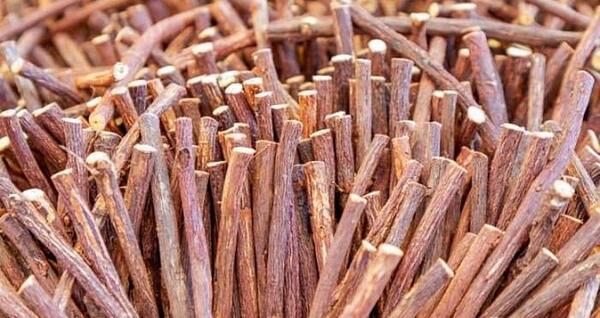 عکس از ریشه شیرین بیان