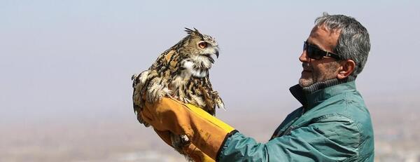 عکس حیوان شاه بوف