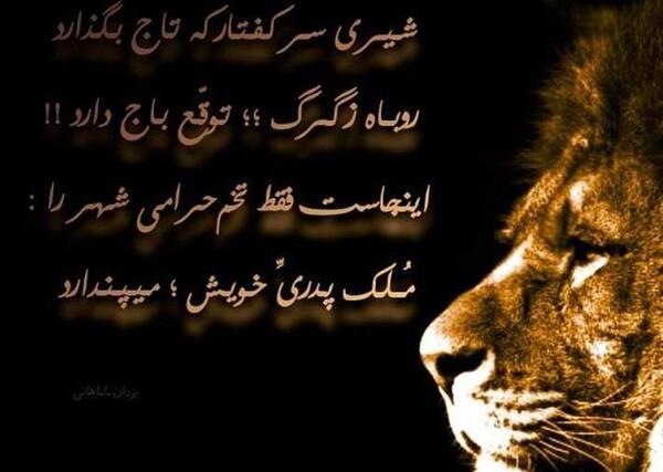 عکس نوشته در مورد شیر و کفتار