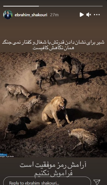 عکس پروفایل پرسپولیس شیر و استقلال کفتار