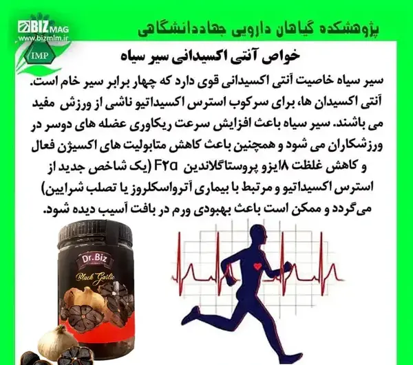 عکس پروفایل پرسپولیس شیر و استقلال کفتار