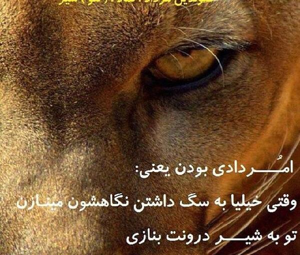 عکس نوشته شیر مردادی