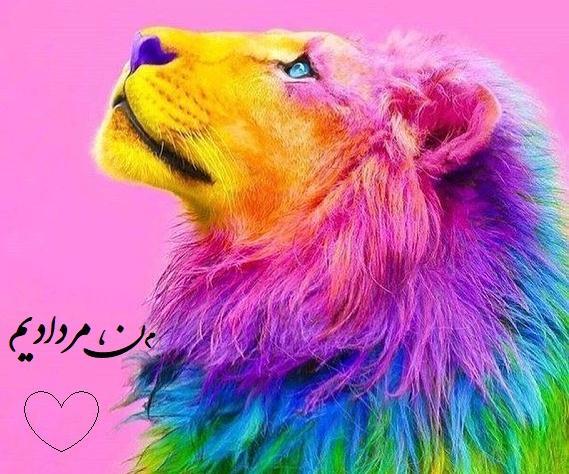 عکس نوشته شیر مردادی