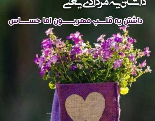 عکس نوشته شیر مردادی