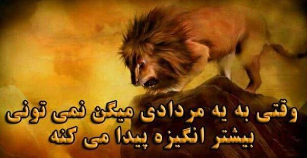 عکس نوشته شیر مردادی