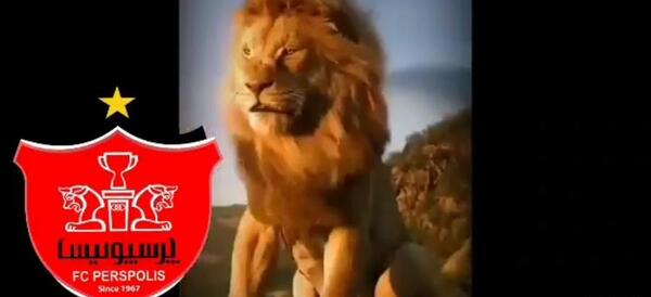 عکس تیم پرسپولیس کنار شیر