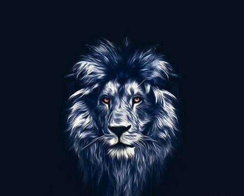 دانلود عکس شیر قرمز
