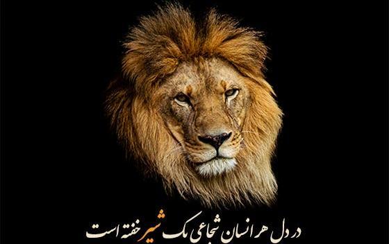 عکس نوشته شیر عاشقانه