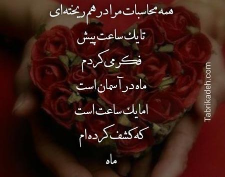عکس نوشته شیر عاشقانه