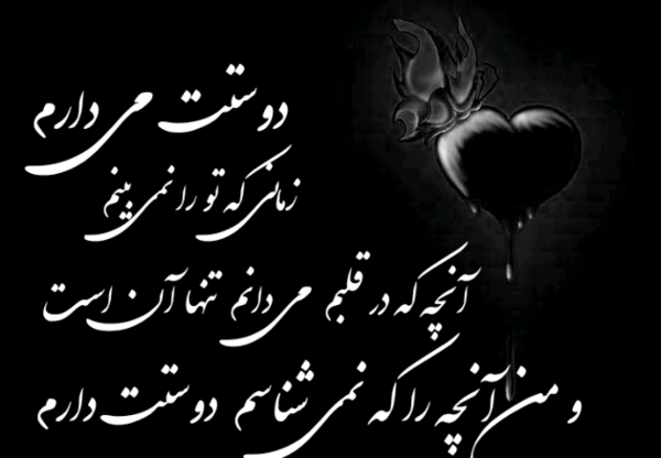 عکس دوتا شیر عاشقانه