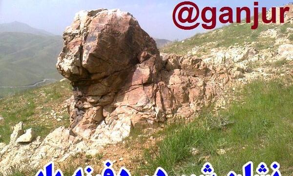عکس شیر نماد چیست