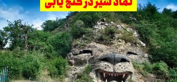 عکس شیر نماد چیست
