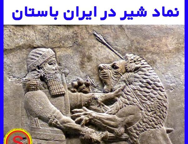 عکس شیر نماد چیست