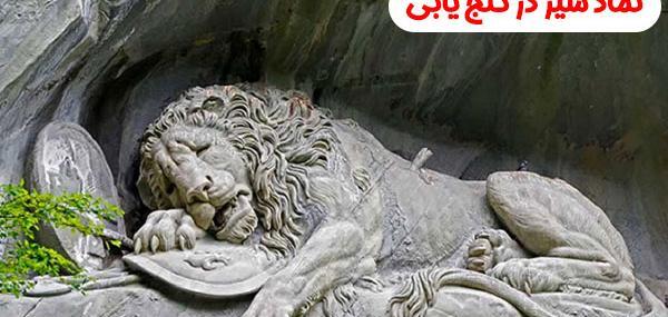 عکس شیر نماد چیست