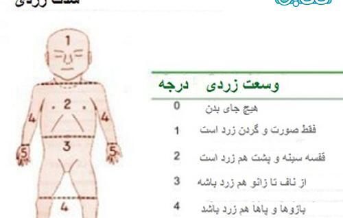 عکس شیرخشت برای نوزاد