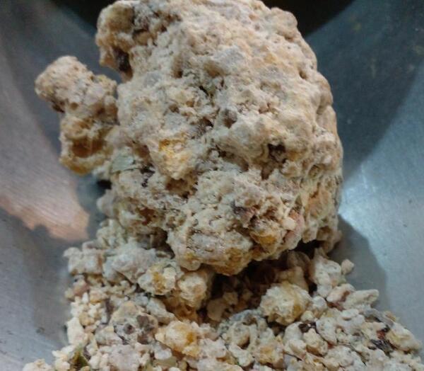 عکس شیرخشت خشک شده