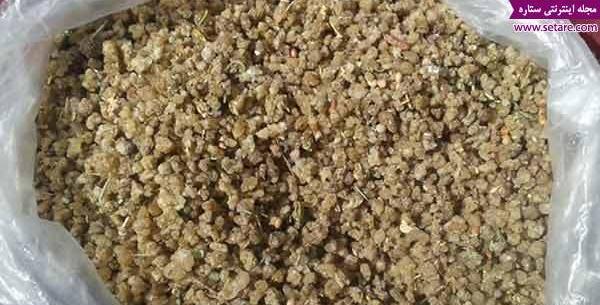 عکس شیرخشت خشک شده
