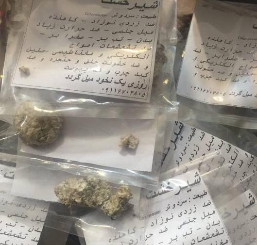 عکس گیاه شیرخشت