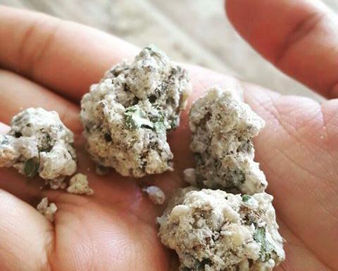 عکس قطره شیرخشت