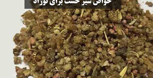 عکس درخت شیرخشت