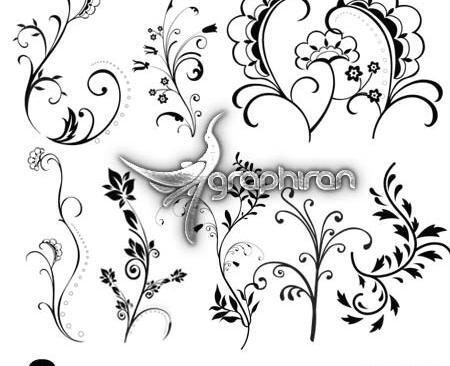 عکس گل ساده رنگی