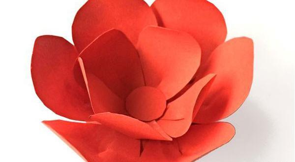 عکس گل با کاغذ رنگی ساده