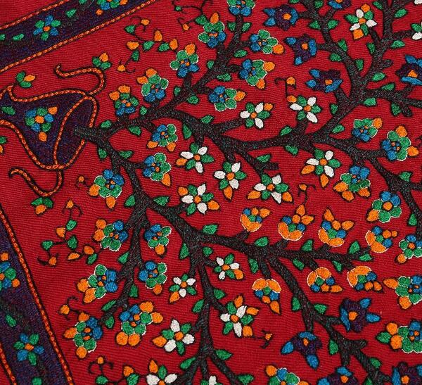 عکس پته ساعت درختی