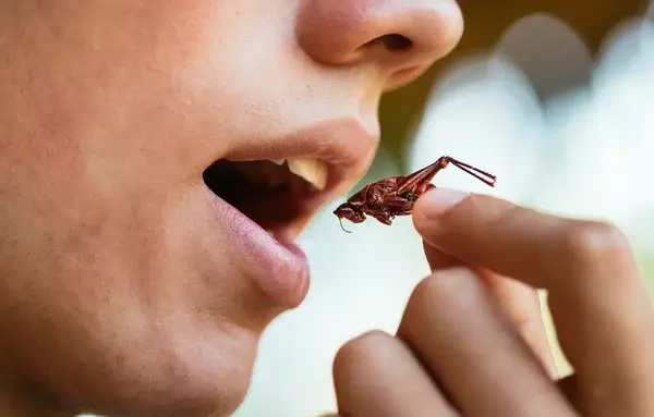 عکس سوسک ملخی