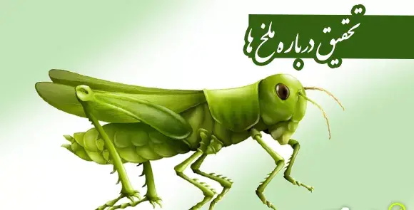 عکس سوسک ملخی