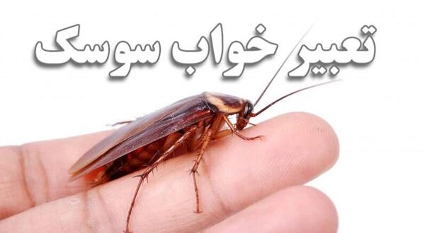 عکس سوسک موش