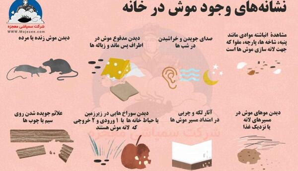 عکس فضله موش و سوسک
