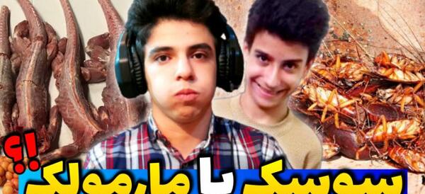 عکس سوسک مارمولکی