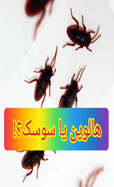 عکس سوسک مارمولکی