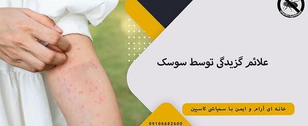 عکس جای نیش سوسک