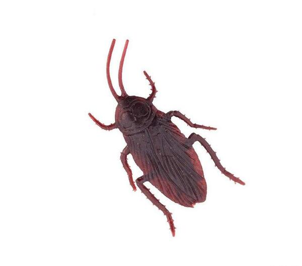 عکس نقاشی سوسک کودکانه