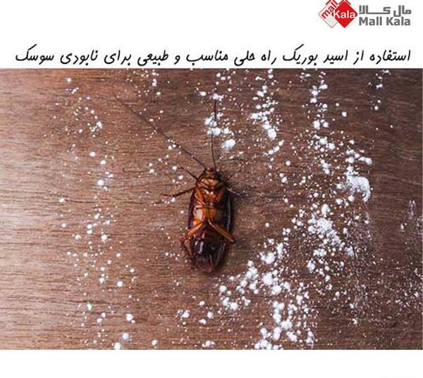 عکس سوسک مرده با اسپری