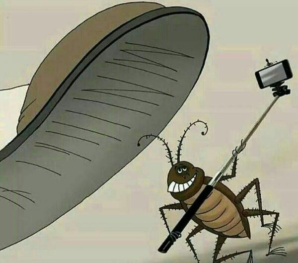 عکس کشتن سوسک